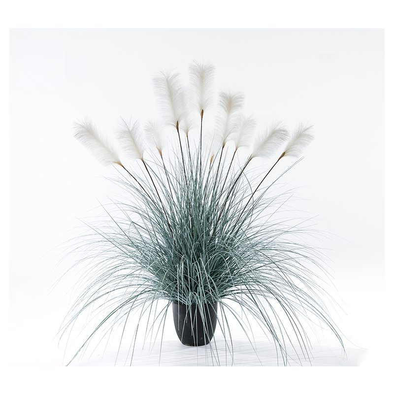 Ohh09200017 / ohh09200018