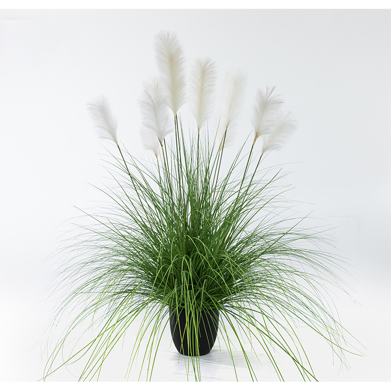 Ohh09200017 / ohh09200018