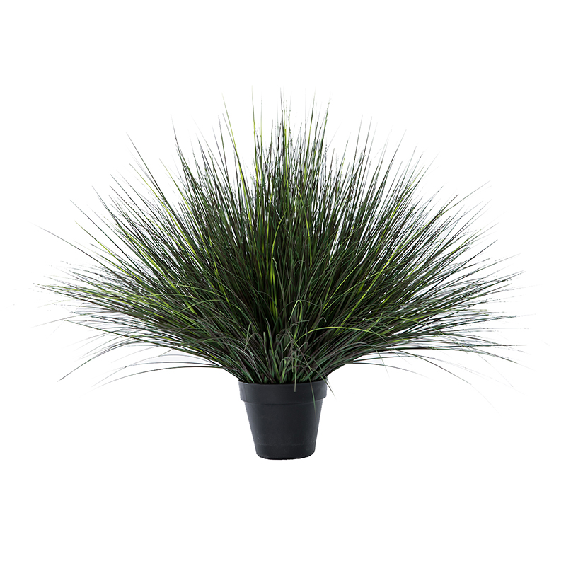 Ohh09200024 / ohh09200025 / ohh09200026