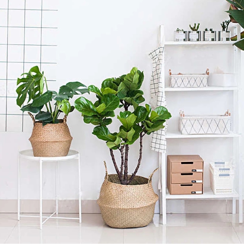 Decoración del hogar maceta soporte ovalado colgante seagrass cesta de almacenamiento