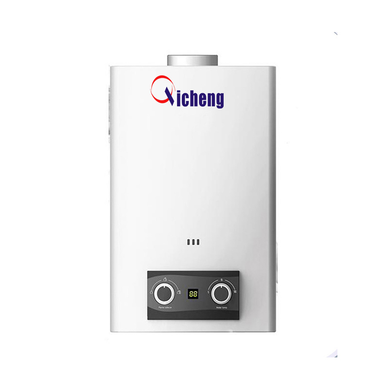 Calentador de agua de gas instantáneo de venta caliente OEM 10L