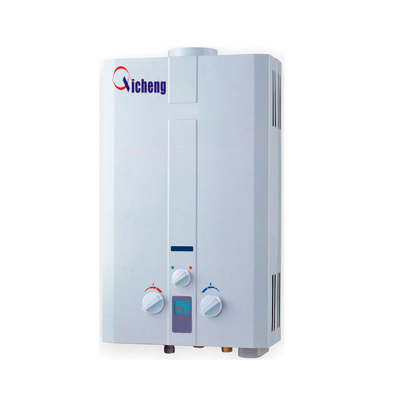 Calentador de agua de gas instantáneo de venta caliente OEM 10L