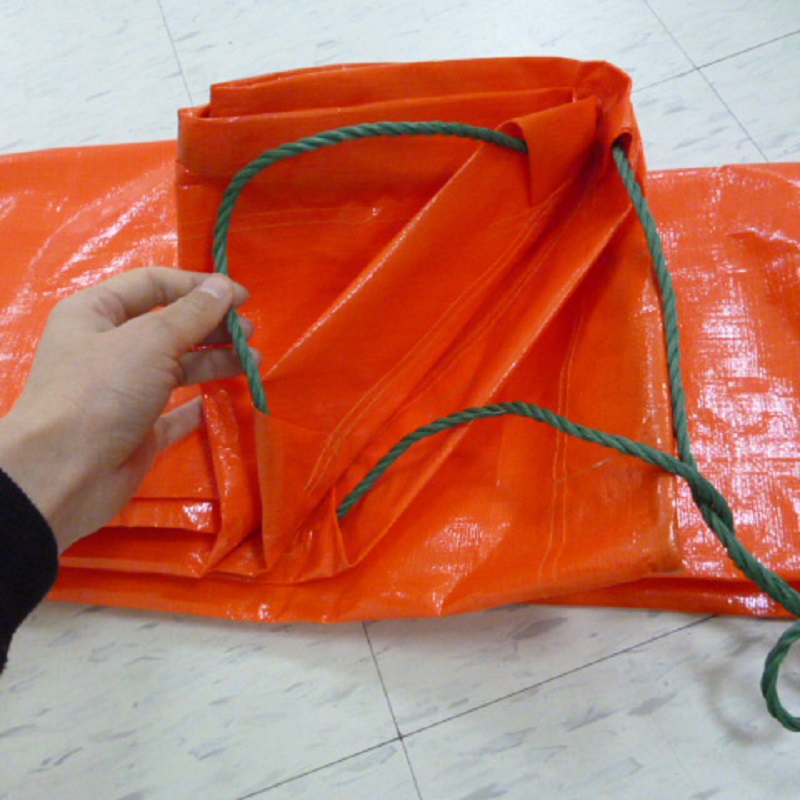 Lona de polietileno de encargo China Pe lona con hoja de plástico de ojales