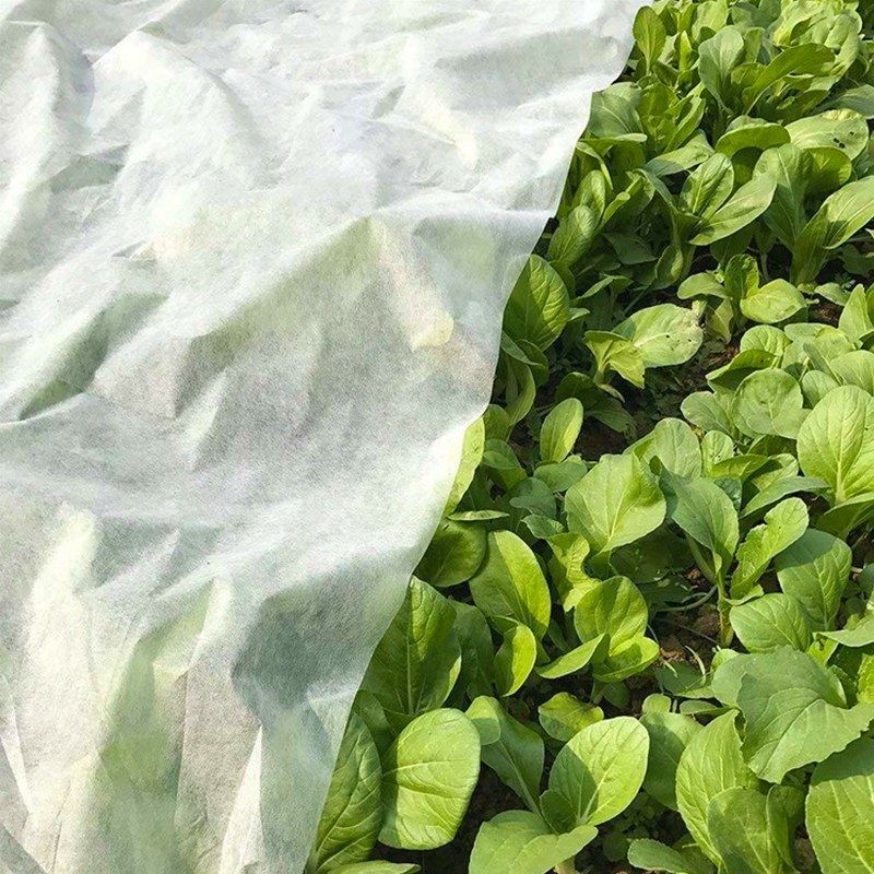 La plantación no tejida del geotextil de la cubierta de la agricultura de los PP crece la tela de los bolsos para los productos del jardín
