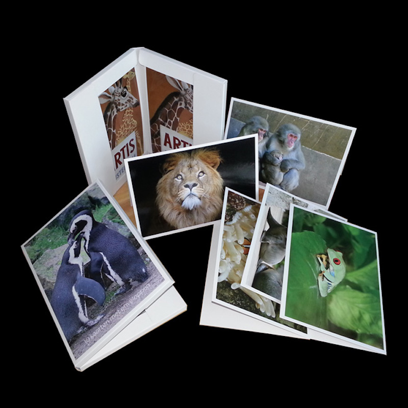 Tarjetas, tarjetas, sobres para todas las ocasiones.Recuerdos de viaje