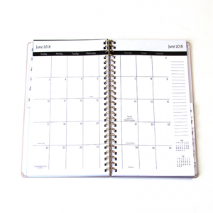 Organizador de encuadernación YO