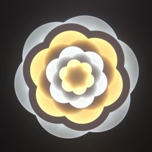 Lámpara de techo AC805