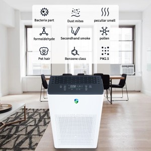 Purificador doble (purificación activa + purificación pasiva)