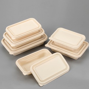 Envase de comida biodegradable de la caja de empaquetado para llevar de la fiambrera disponible amistosa libre de BPA del bento de Eco
