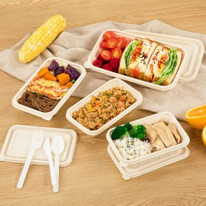 Envase de comida biodegradable de la caja de empaquetado para llevar de la fiambrera disponible amistosa libre de BPA del bento de Eco