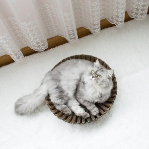 Papel de girasol Cat Scratch Nest