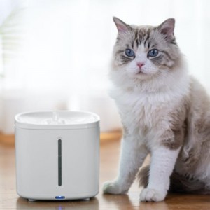 Fuente de agua 2L PET