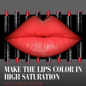 Labial de lápiz labial de larga duración