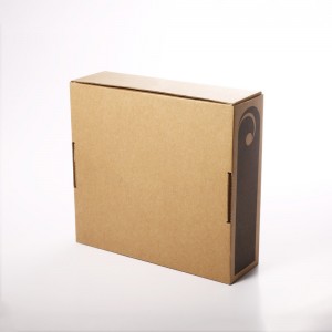 Material de papel reciclable personalizado Post Mailer Box Packaging