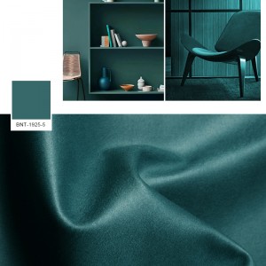 Paño de cuero de imitación de tecnología BNT1925