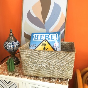 Caja de almacenamiento de algas