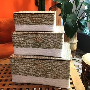 Caja tejida de algas con almacenamiento cubierto