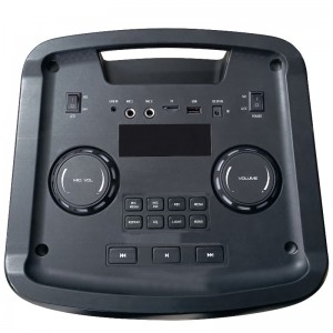 FB-PS210 Diseñe el altavoz de la fiesta Bluetooth con la luz de llama LED RGB