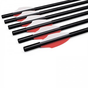 Elong al aire libre 110300-01 20 pulgadas Airgun del eje de aluminio Ballo de balanceo Archites Arrow Equipo de disparo