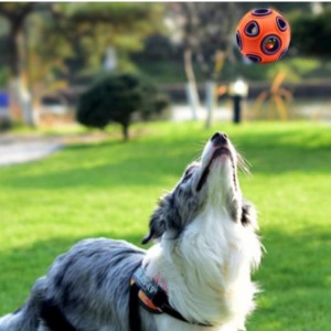 Juguetes de perro flotantes LED