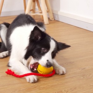 Juguete de perros de bocadillo con fugas de goma
