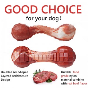 Juguete de perro hueso súper masticado