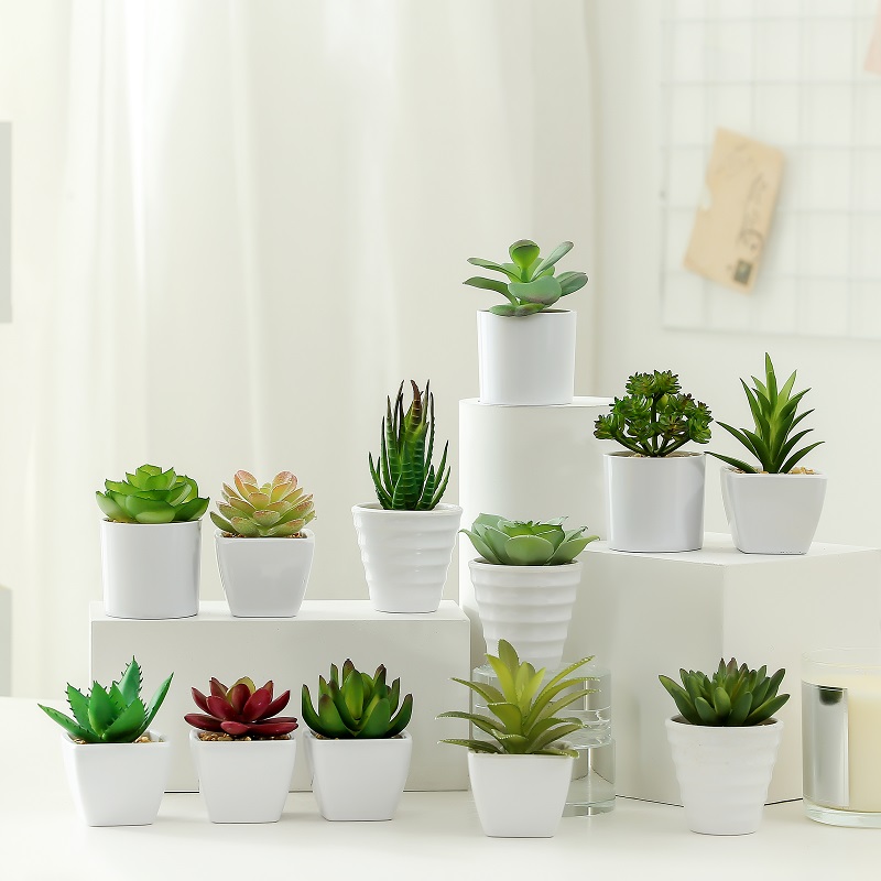 Venta caliente artificial suculenta en la olla de melamina para la venta.