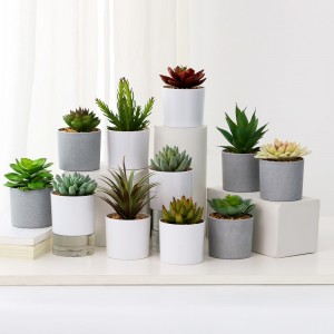 Venta caliente artificial suculenta en la olla de melamina para la venta.