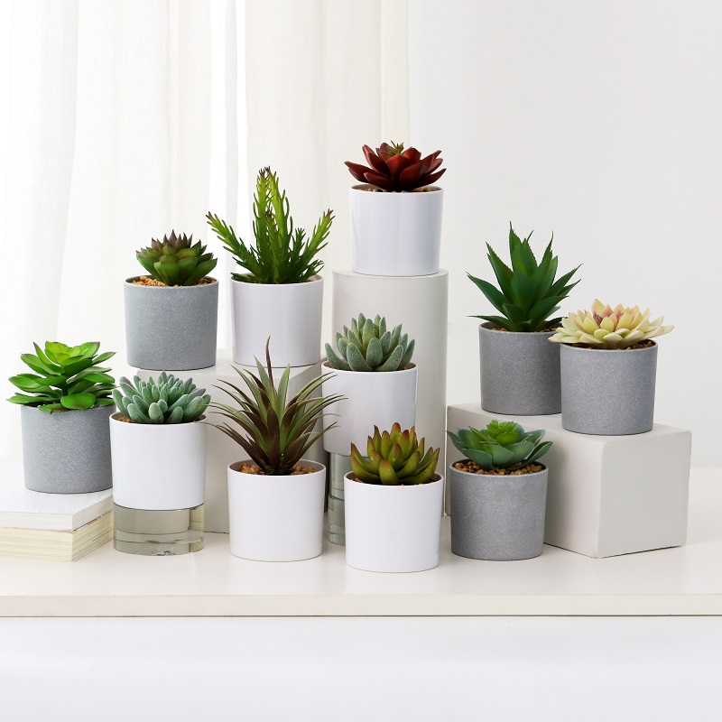 Venta caliente artificial suculenta en la olla de melamina para la venta.