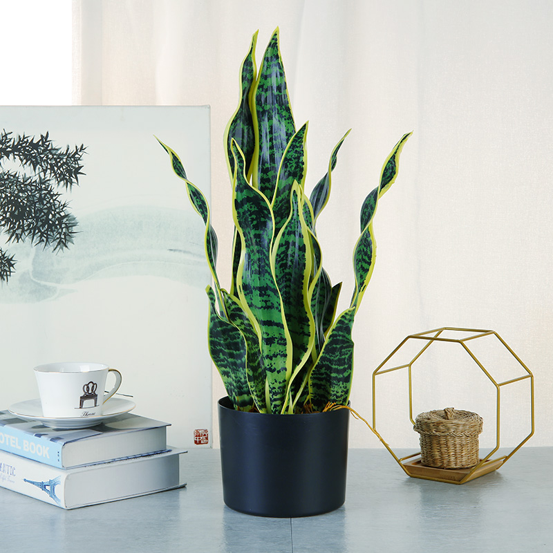 Venta caliente Green Indoor Home Plástico Platos Artificiales Decorativos para sala de estar