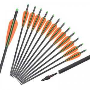 Elongarrow 16/17/18/20/18 \\
20 \\
22inches Terrybow Hunting Cotting Carbon Tornillos