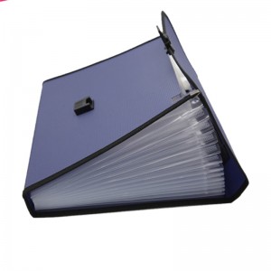 Carpeta de expansión A4 Tamaño de letra PP plástico 13 Pockets Multi Pocket Organizador Archivo expandible