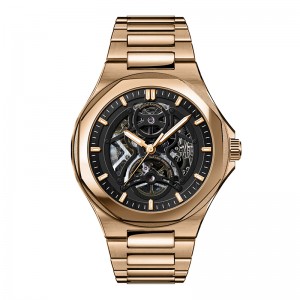 Daniel Gorman DG9111 Luxury Mechanical Hollow Out Watch Watch Watch Watch Watch Watch Watry Leisure Luminoso Store de acero inoxidable Reloj de lujo de lujo