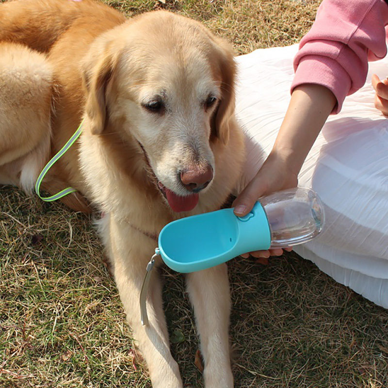 Bottilla de agua para perros de agua de agua de plástico a prueba de fuga de plástico de plástico