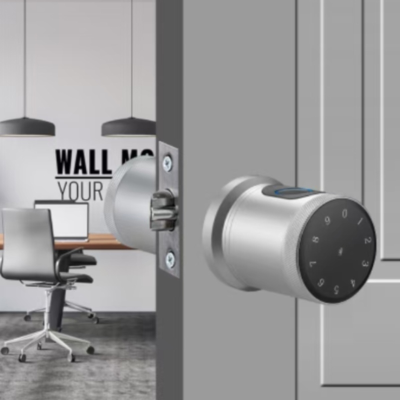 3005 CLAK DE PUERTA INTELIGENTE DE SEGURIDAD, CLAQUETA DE PUERTA DE LA PUPERA DE LA HILLES sin llave, cerradura de puerta de entrada con perilla de puerta inteligente