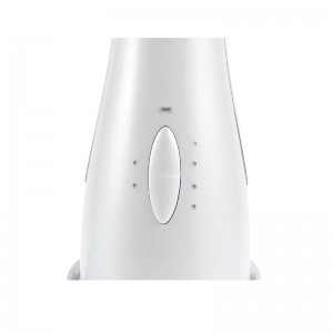 Masaje facial eléctrico basal