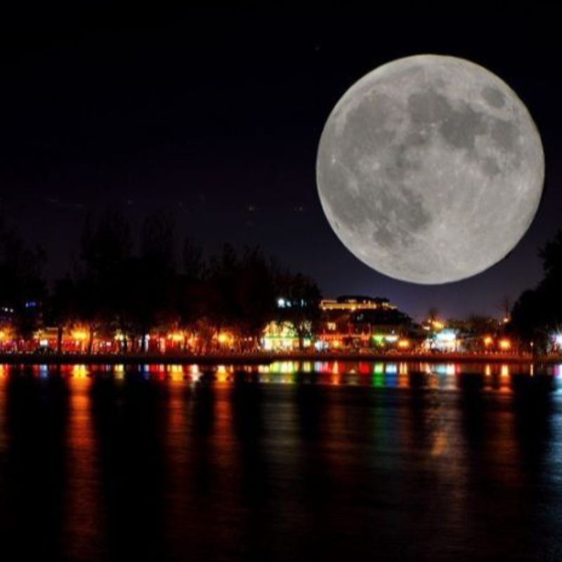 2022 Festive Festive Holiday