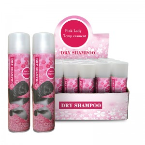 Professional Eliminar el aceite Dirt Dry Shampoo Cabello Spray Spray Champú seco