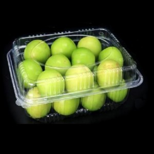 Caja de frutas con tapa 230*175*90 mm HGF-1000A