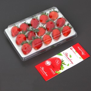 Caja de fresas (15 fresas) 225*120*40 mm cm-15