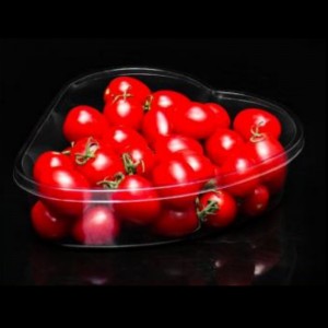 CAJA CARDIOIDO 185*165*50 mm HJ-1904