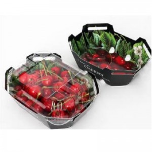 Caja de frutas HGF-T250 250 G