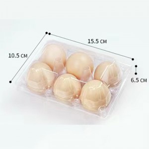 Bandeja de huevo 155*105*65 mm 6 ranuras