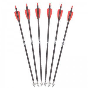 15 pulgadas Rx Bally Bolts con cabezas anchas de acero inoxidable