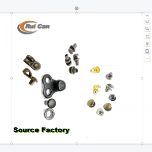 Hebilla del zapato 03