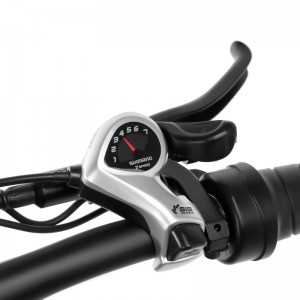 Ciclismo eléctrico deneumáticos para grasa de 20 pulgadas