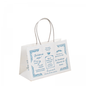 bolsa de papel personalizada con su propio logotipo, bolsa de papel ecológica desechable con mango retorcido, impresión de bolsas de papel kraft marrones