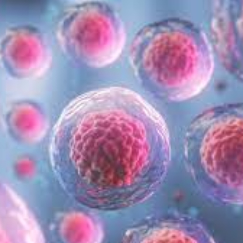 NMN mejora el crecimiento y la migración de las células madre
