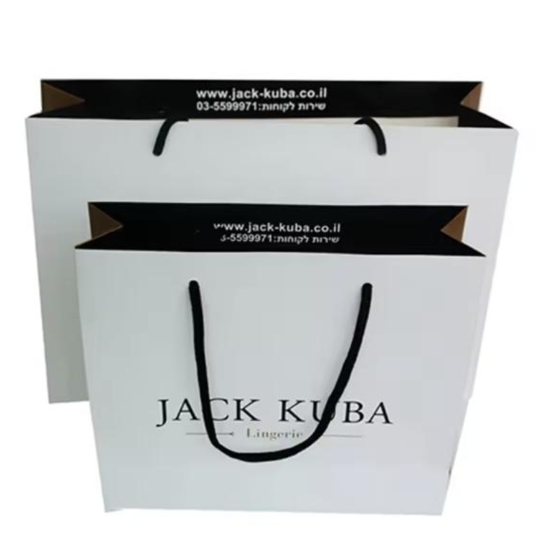 Bolsa de papel de envasado de regalos de compras laminado impreso personalizado de lujo con su propio logotipo