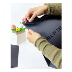 Mango de lujo Mangonegro de ropa Negra bolsas de papel de papel joyas cosméticas cosméticas logotipo de diseño bolsas de regalo de papel